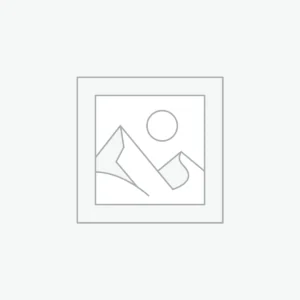 Fresh Fashion Finds